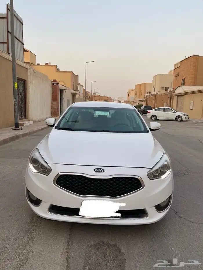 كادينزا 2016 ستاندر نظيف 1