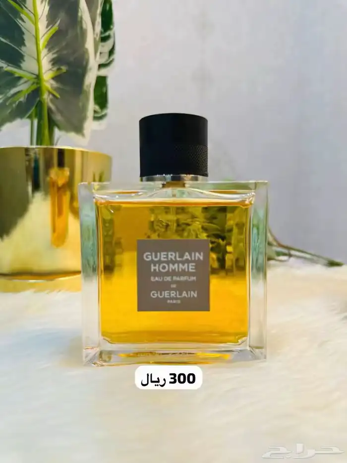 عطورات تستر بأسعار مميزة - جودة عاليه جدا 36