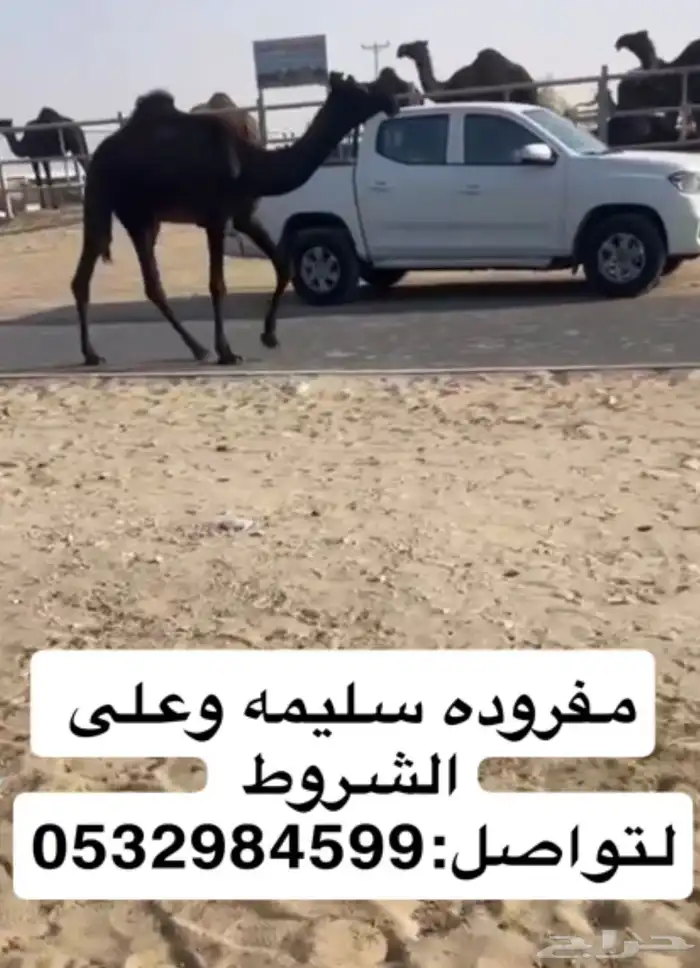 مفروده كفو 0