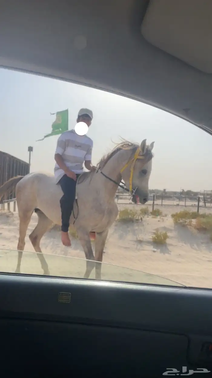 السلام عليكم يوجد عسف 0