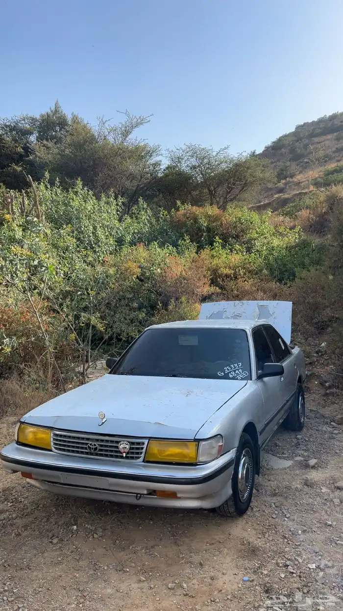 طيس 5
