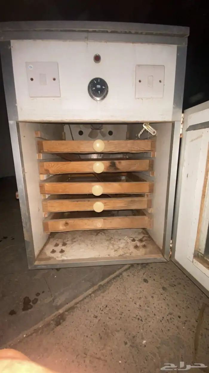 فقاسة بيض للطيور والدواجن 0