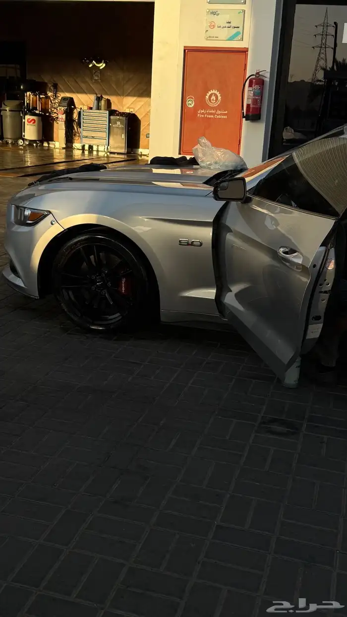 موستنج v8 gt 2015 12