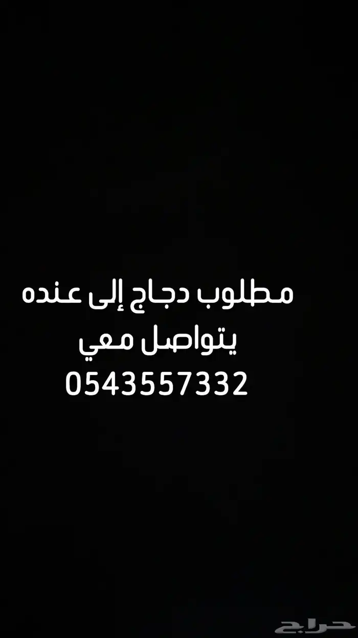 مطلوب دجاج بلدي إلى عنده يتواصل خاص يكون في الزلفي الارطاوي 0