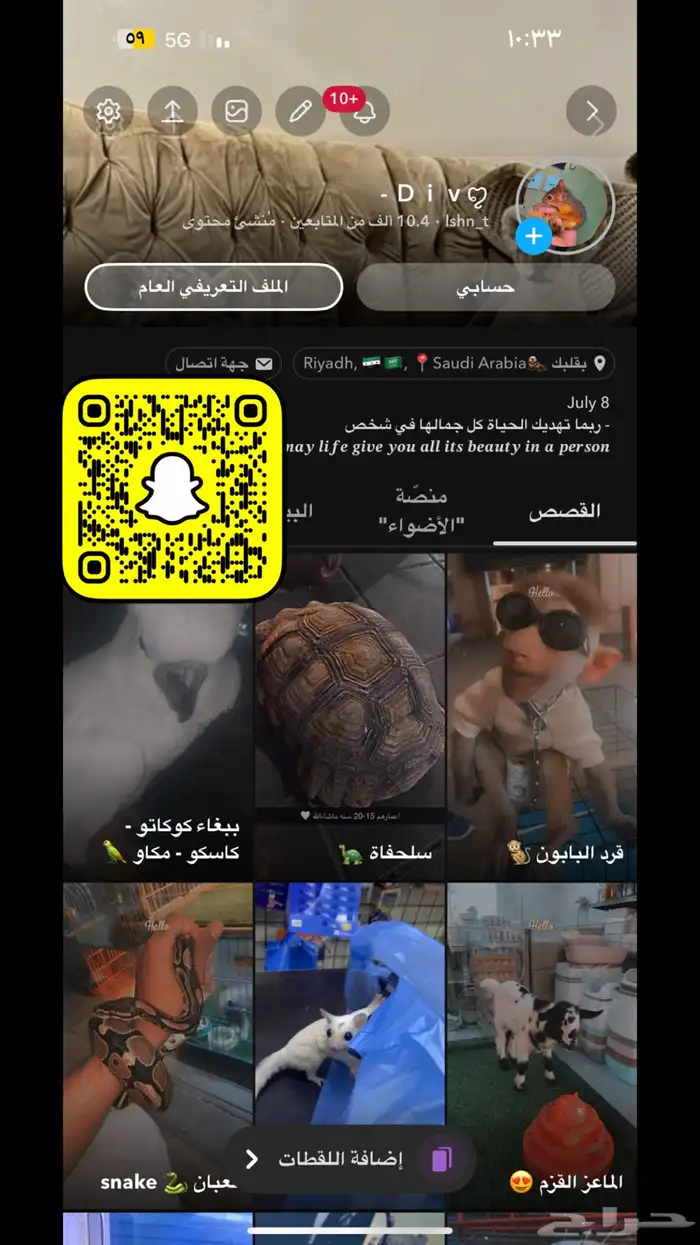 كلب سامويد مستوى توب 5