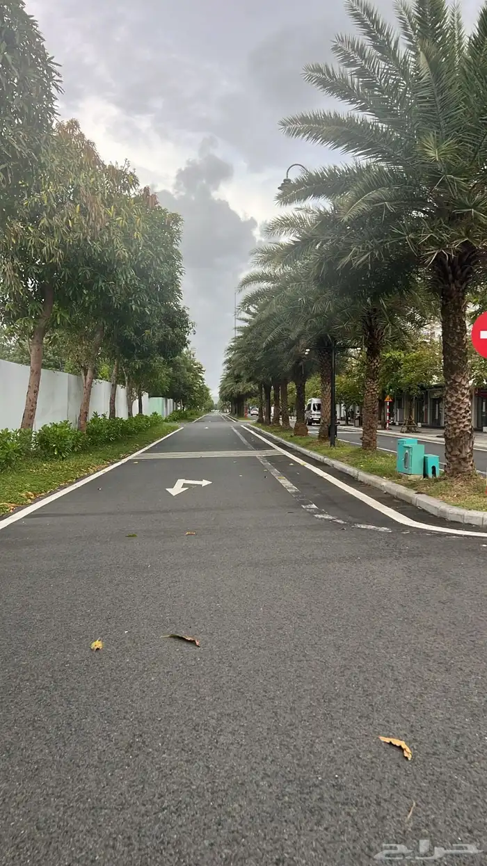 شاشات تلفزيون ذكية 30