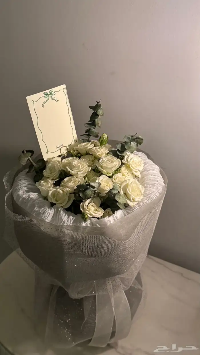 هالبوكيه الجميل ب 100 مع التوصيل في ارخص 1