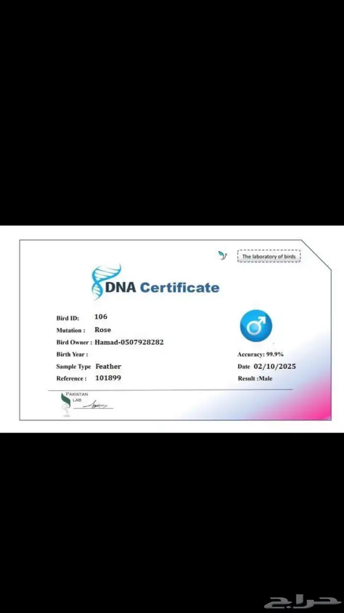 فرخ روز البينو ( محلل DNA ) 4