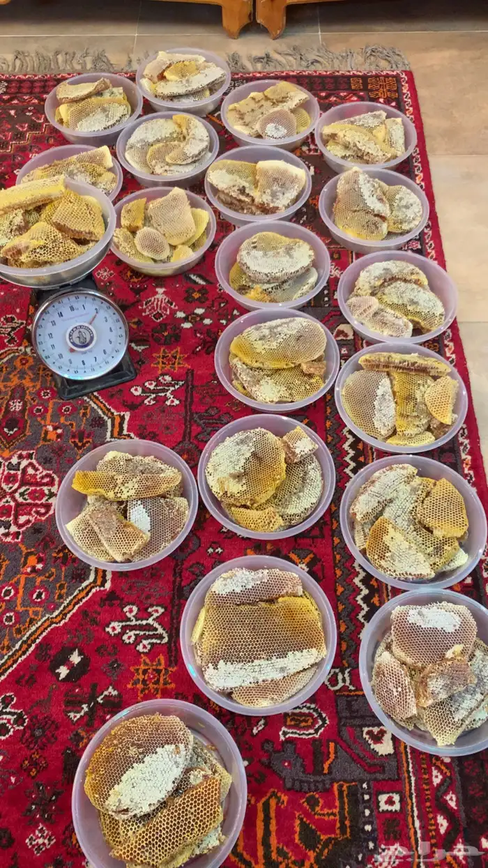 عسل قرض مضمون شرط 0