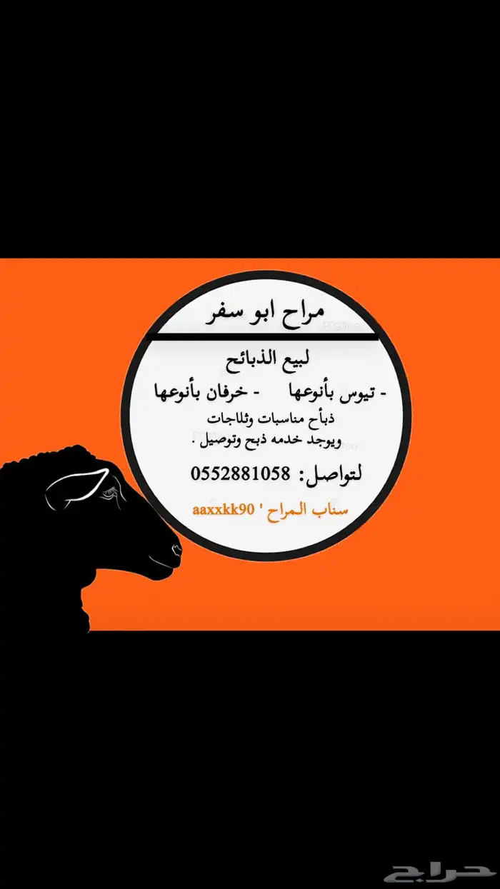 خرفان وتيوس مناسبات وثلاجه 0