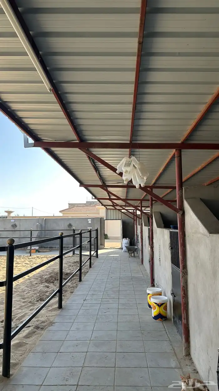 بوايك تأجير خيل 5