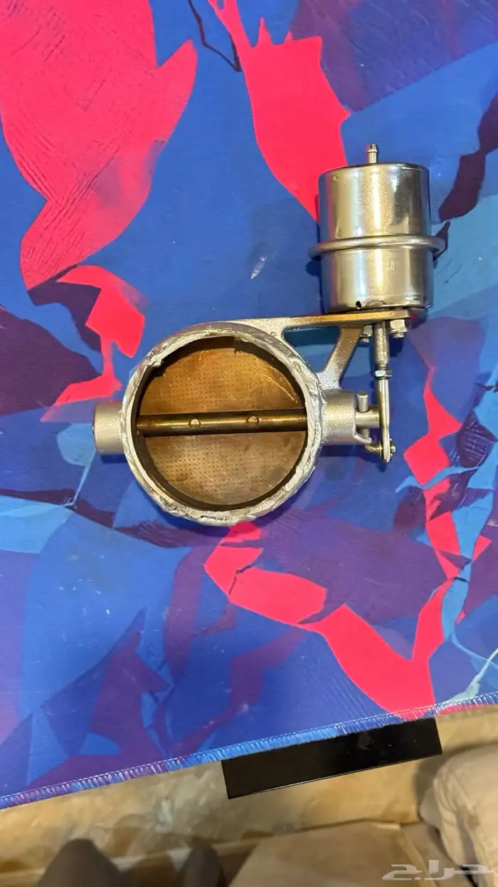 بوابة الدبه الإلكترونية 1