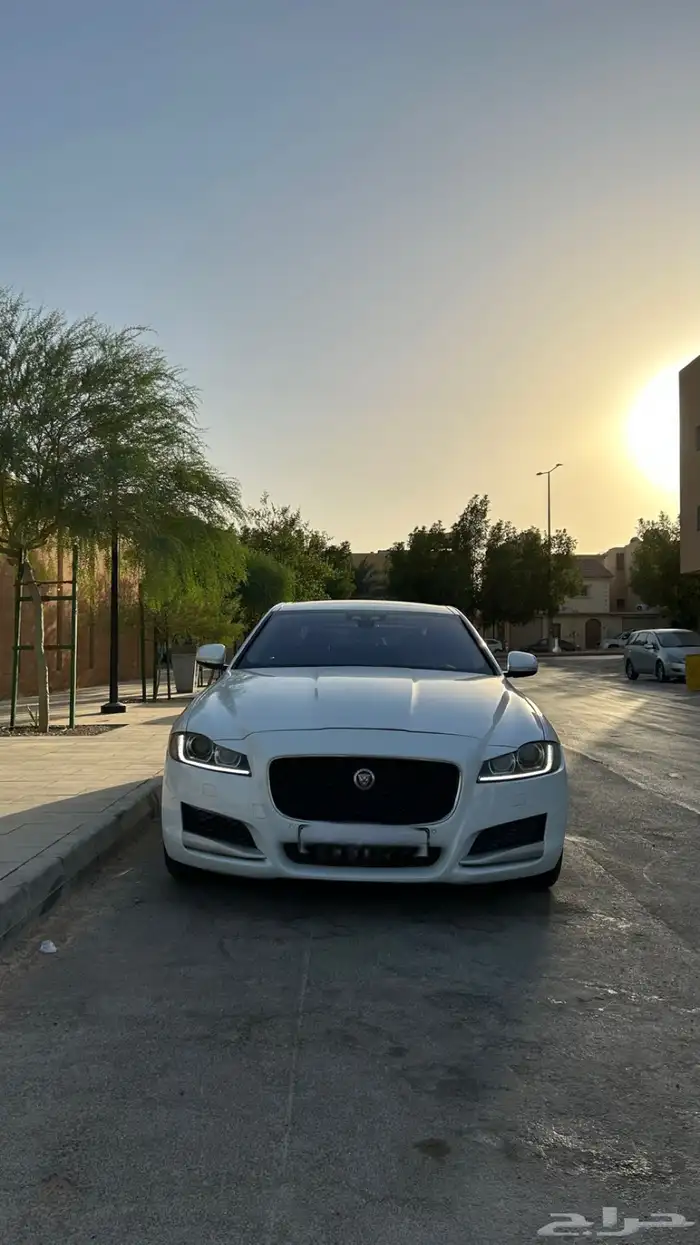 جاكوار xf 2016 3
