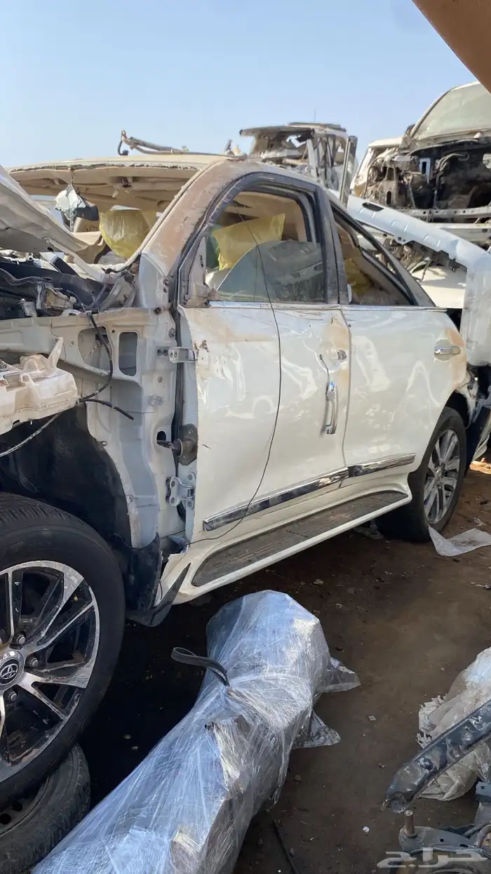 تشاليح الحمدانيه مندوب 2