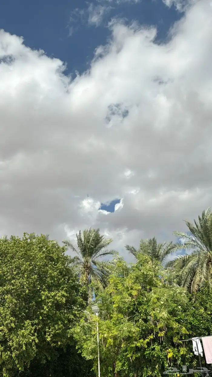 تمر مكنوز سكري جمله 0