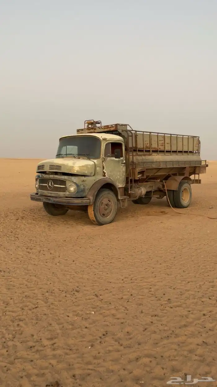 حصنيه للبيع 0
