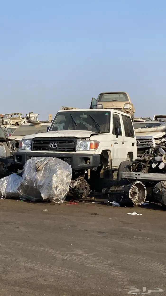 تشاليح الحمدانيه مندوب 1