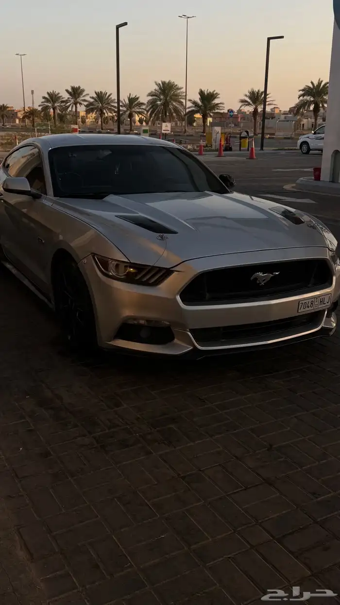 موستنج v8 gt 2015 10
