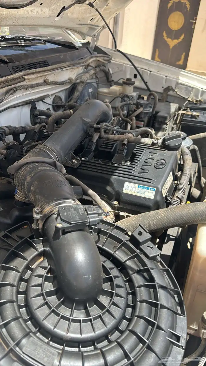 حائل   الاجفر 3