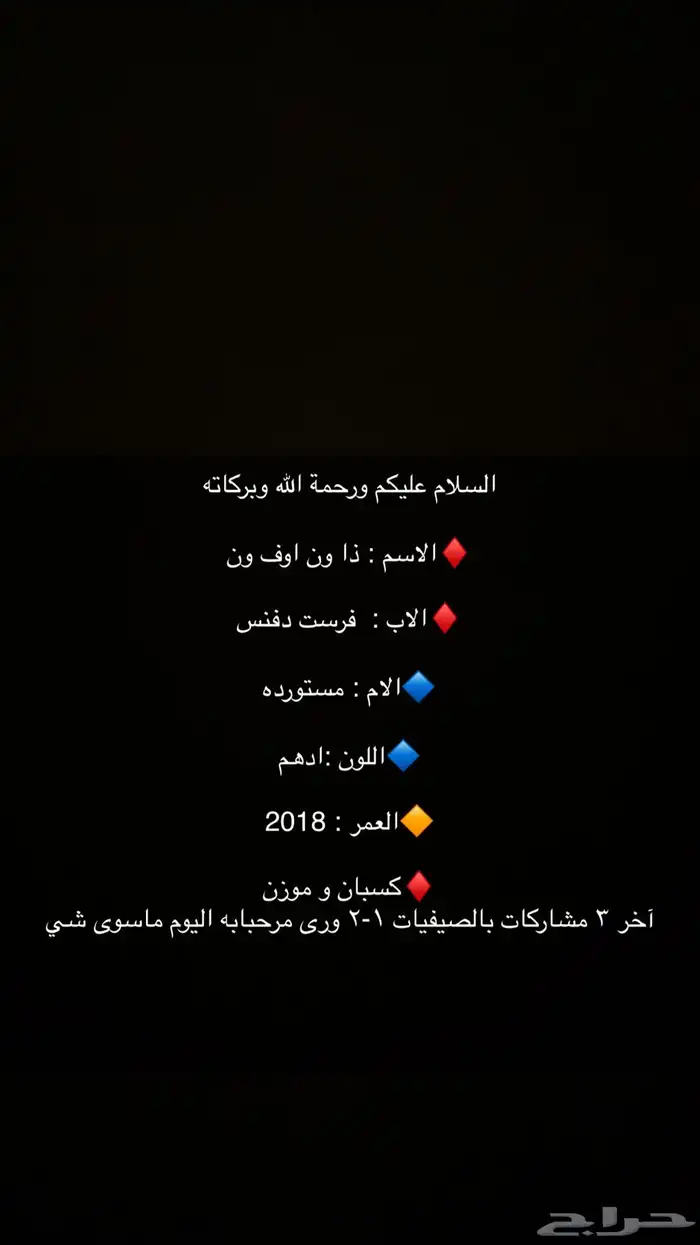 حصان انقليزي بطل 3