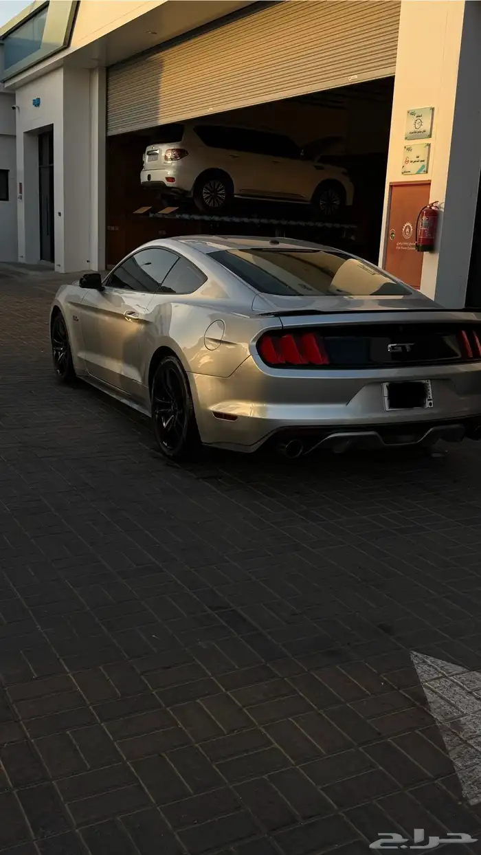 موستنج v8 gt 2015 11