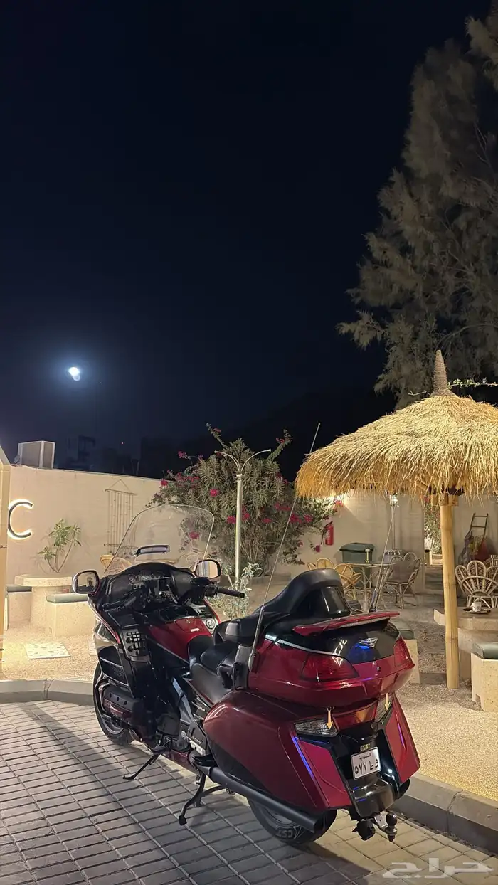 قولد وينق دراجة نارية دباب 2