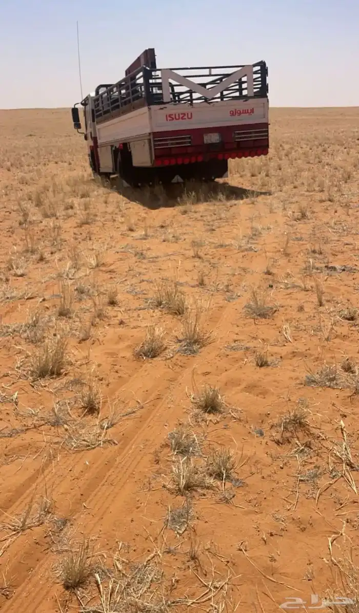 دن ه ونش نقل الابل 0