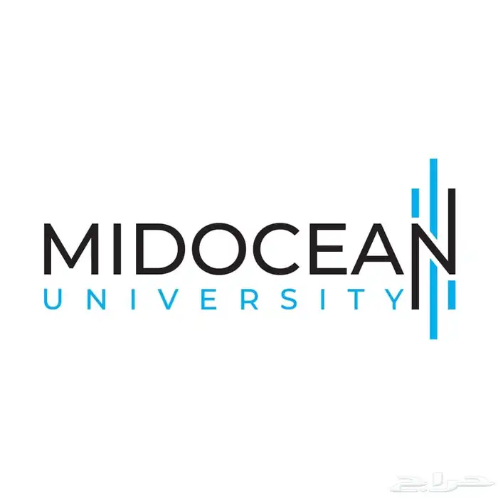 كتابة رسائل ماجستير ودكتوراة و مشاريع التخرج 3