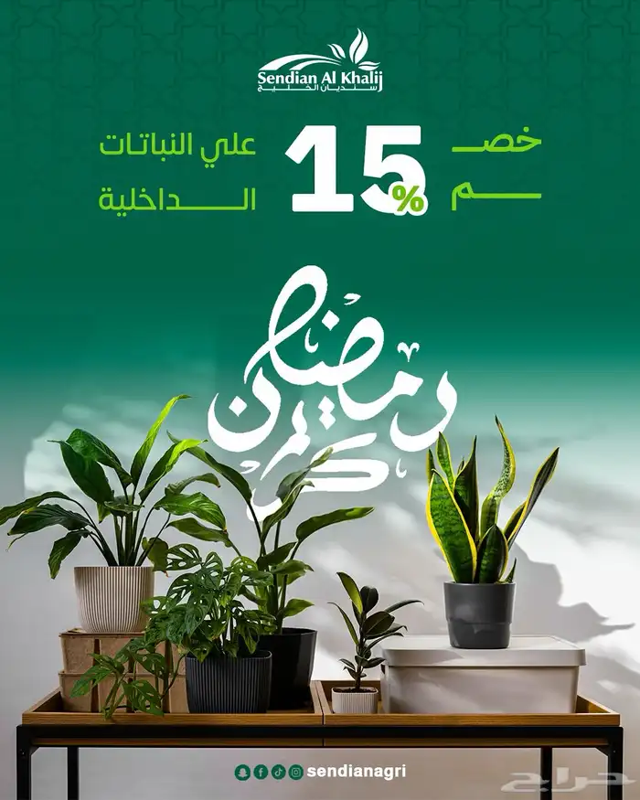 مصمم جرافيك 5