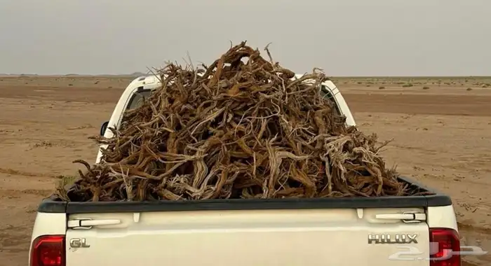 هايلوكس 2025 0