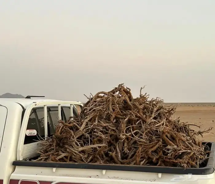 هايلوكس 2025 2
