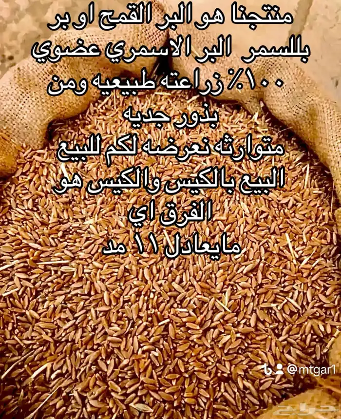 حب بر بللسمر بدون كيماويات 0