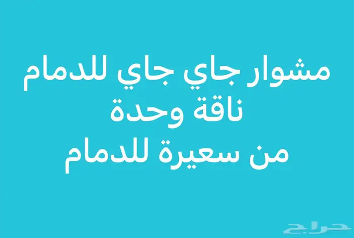 مشوار جاي لدمام ناقة 0