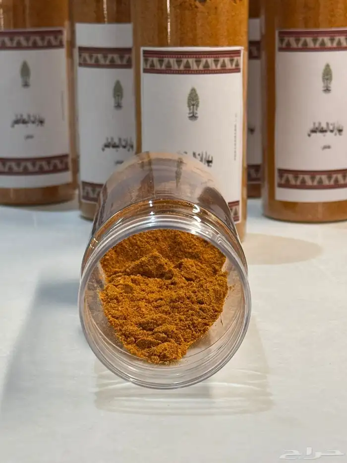 بهارات البطاطس ( كنتاكي ) حاره 0
