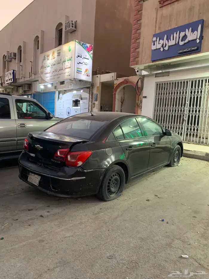 كروز 2017 1