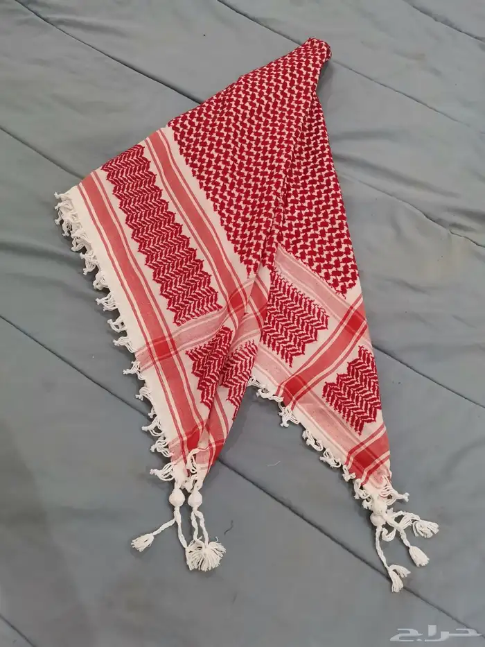 شمغ اردنية مهدبه شكلين 0