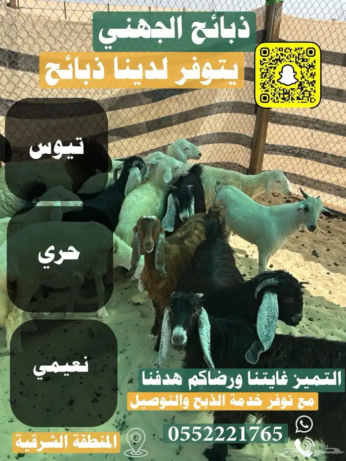 حري و نعيمي وتيوس 3