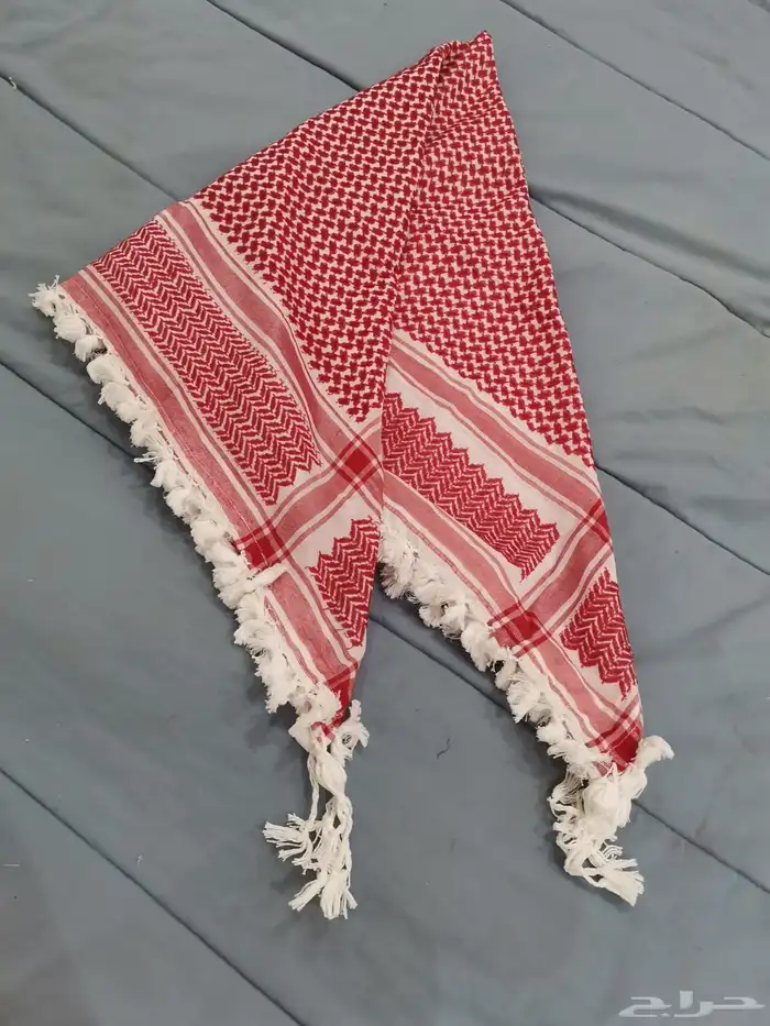 شمغ اردنية مهدبه شكلين 1