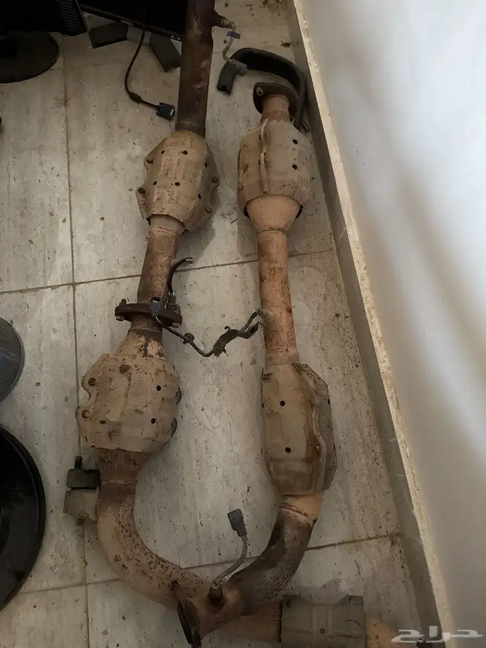 دبات تلوث سكويا 0