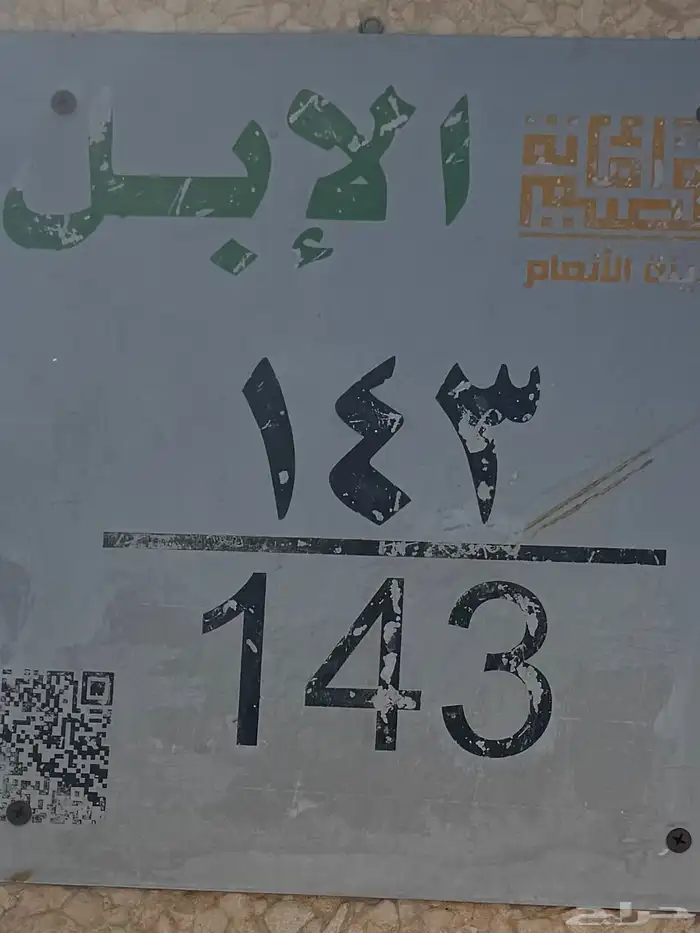 حوش ابل بسوق بريده 0