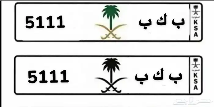 لوحة مميزة 5111 للبيع جاهزة اوراقها 1