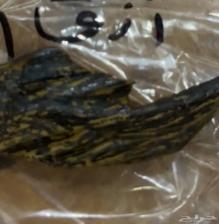 يخور عود 1