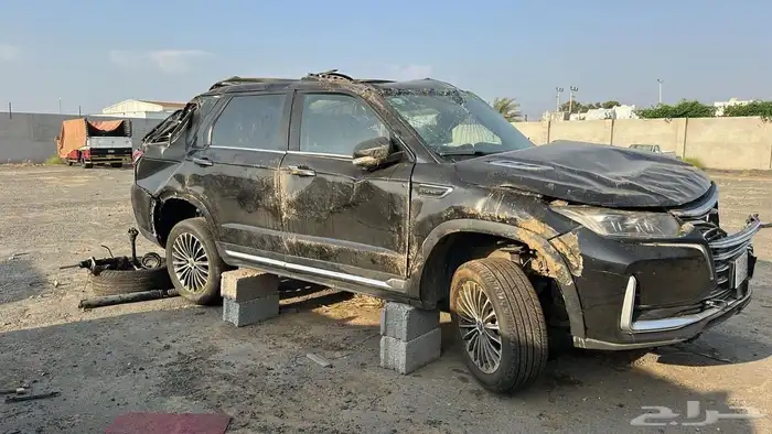 شانجان 2021 مصدوم 3