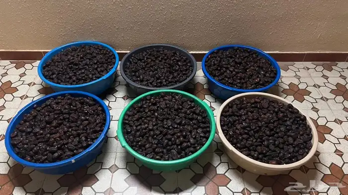تمر حلوة رميثي على ماء ملح 4