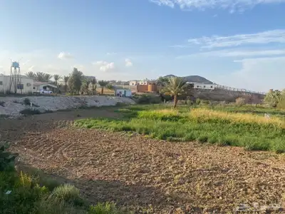 مزرعه للبيع السيل الصغير index