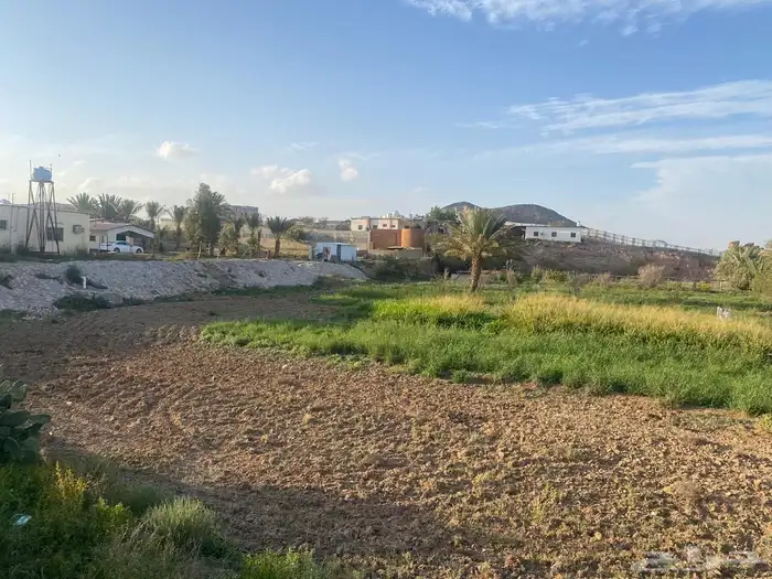 مزرعه للبيع السيل الصغير 5