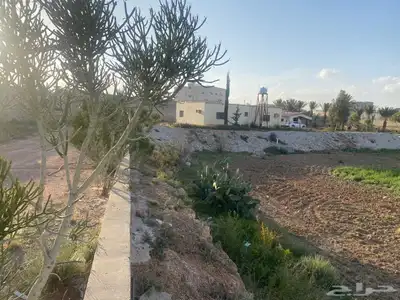 مزرعه للبيع السيل الصغير index
