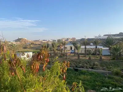 مزرعه للبيع السيل الصغير index