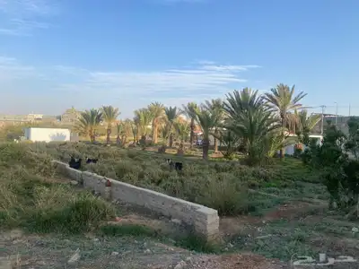 مزرعه للبيع السيل الصغير index