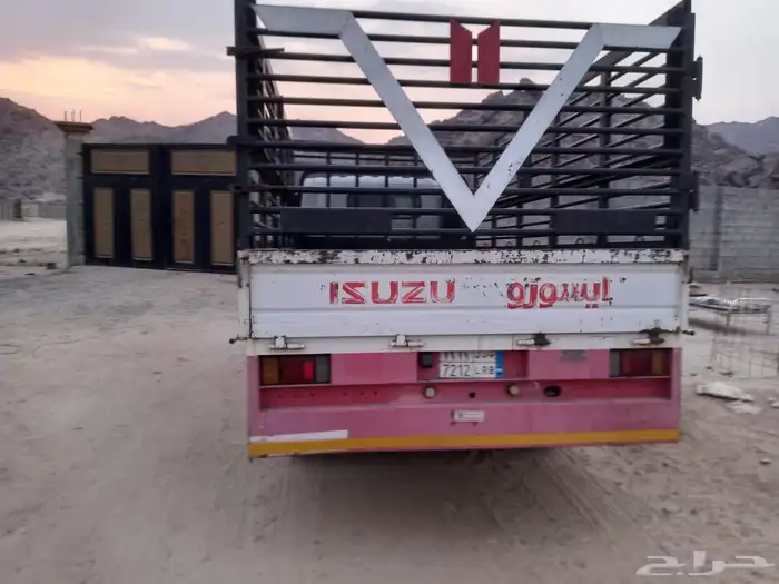 دينا ايسوزو 2020 3